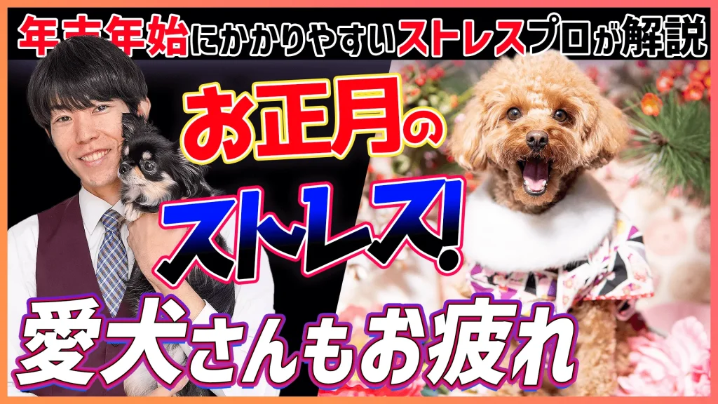 【愛犬さんもお疲れ】年末年始にかかりやすいストレス