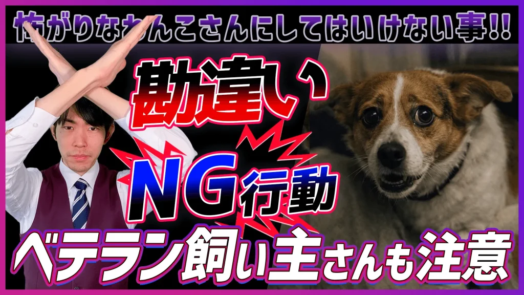 怖がりなわんこにしてはいけない事