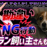 怖がりなわんこにしてはいけない事