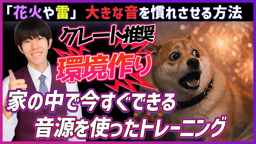 花火や雷大きな音を慣れさせる方法