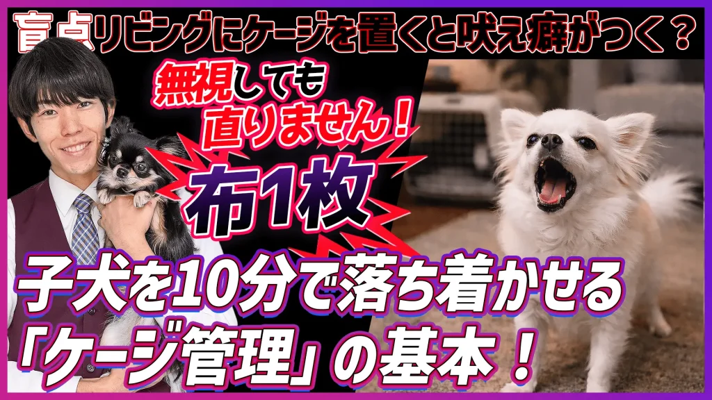 子犬の時期の吠えについて