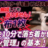 子犬の時期の吠えについて
