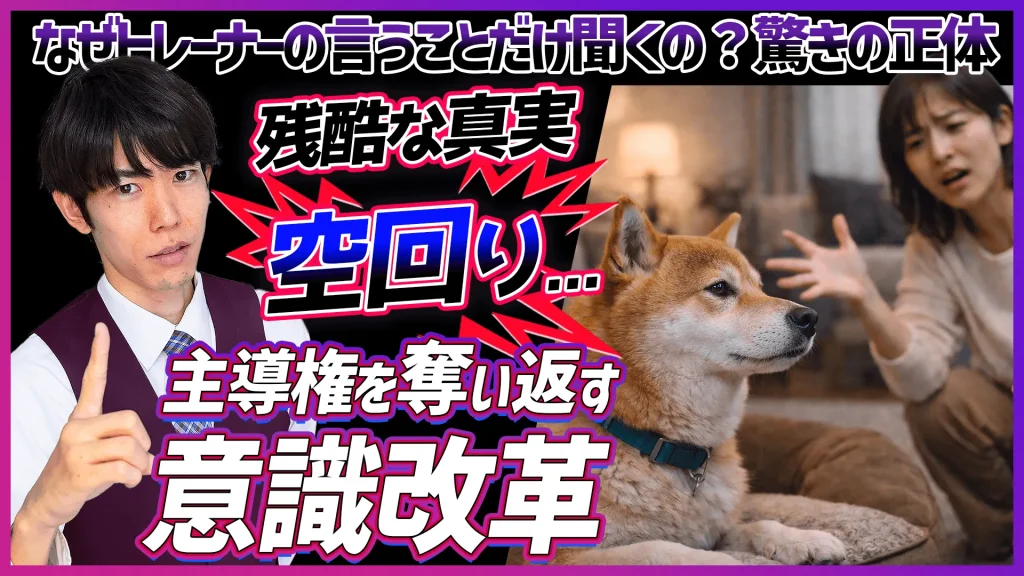 飼い主の言うことは聞かないのにトレーナーの言うことは「何故」聞くのか？頑張るほど空回り…コマンドを覚えることと「言うことを聞く」のは別！