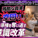 飼い主の言うことは聞かないのにトレーナーの言うことは「何故」聞くのか？頑張るほど空回り…コマンドを覚えることと「言うことを聞く」のは別！