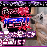 抱っこを嫌がる・抱っこすると暴れる子の対処方法【初心者向け】良かれと思った抱っこが「恐怖の合図」に？愛犬に嫌われないための環境設定