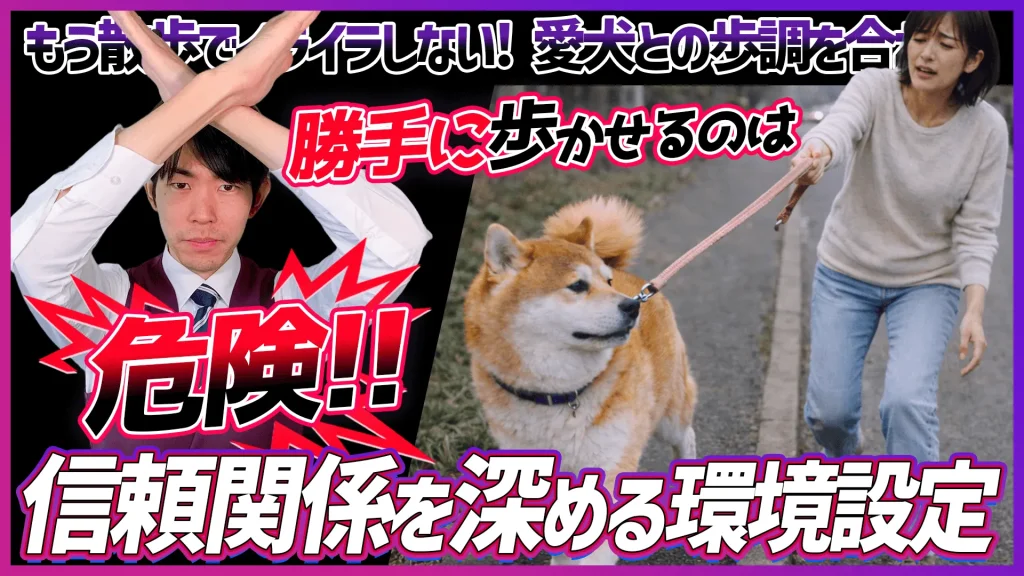 お散歩中 人の横を歩きたがらない時の対処方法【警告】勝手に歩かせるのは危険！愛犬の命を守るための「主導権」トレーニング