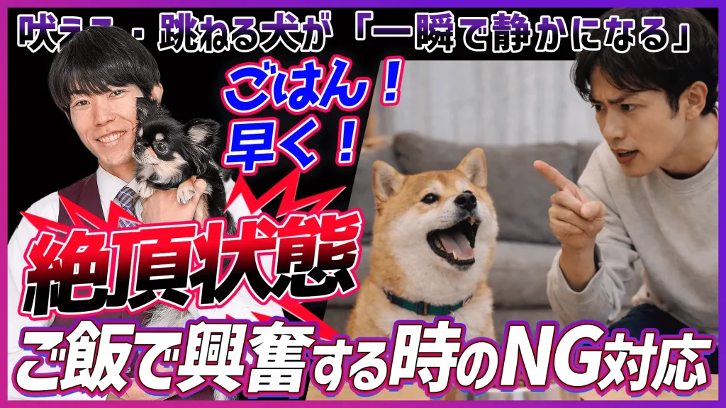 食事の前に興奮してしまうワンちゃんの対処方法【プロが教えます！】「ごはん！早く！」の要求吠え、放置すると悪化します!