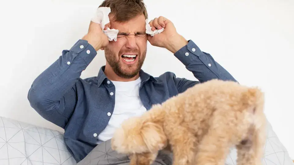 1. 感情は言葉以上に伝わる？犬が読み取る「見えないサイン」