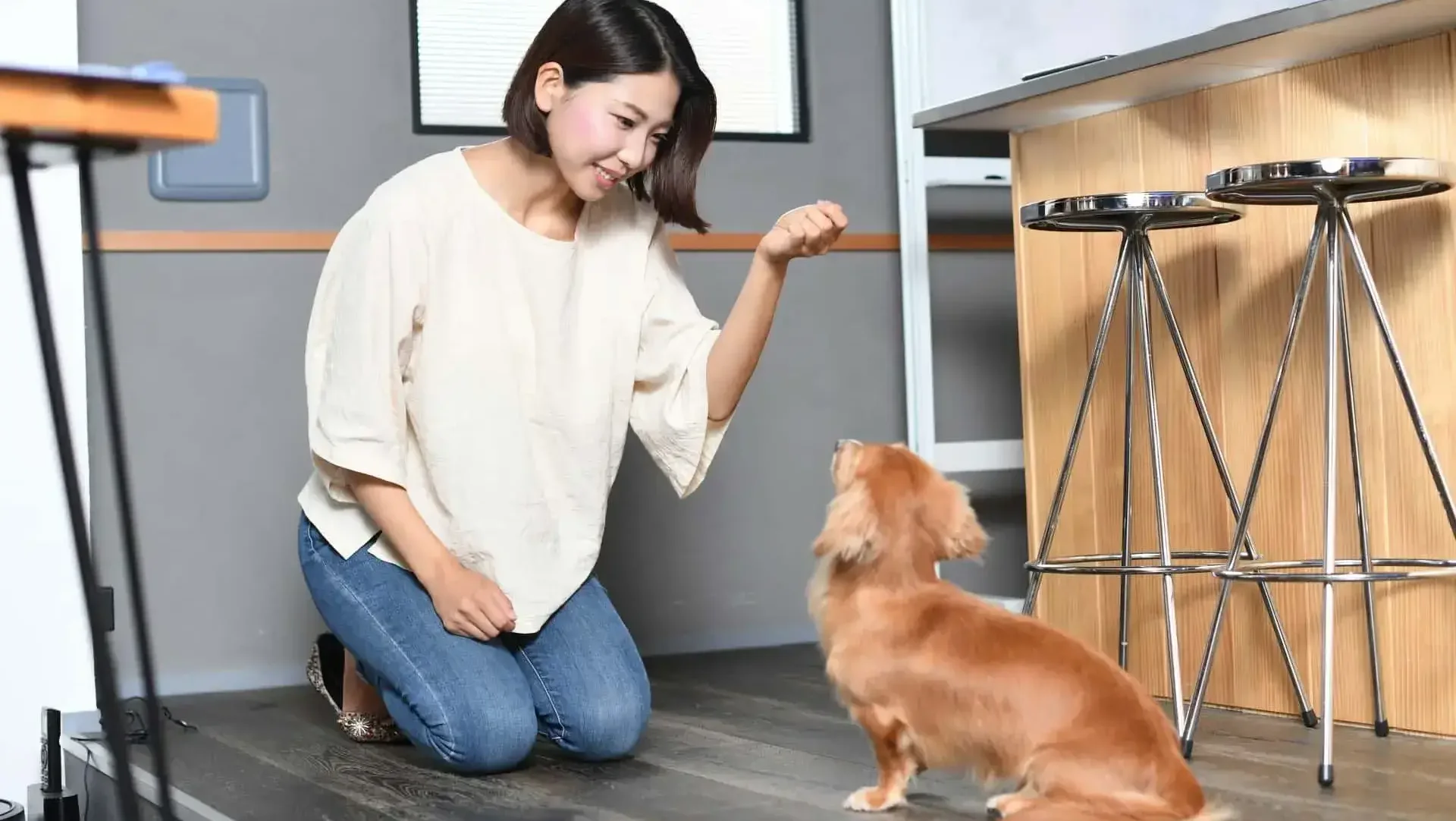 プロが伝授！おやつを使わないしつけの3ステップ