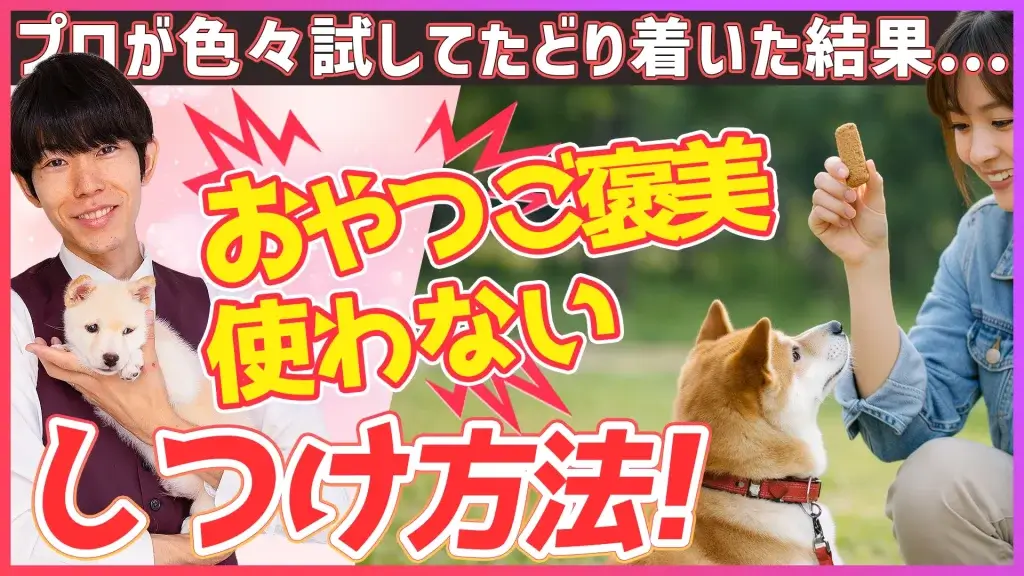 【知っておきたい】おやつを使わないしつけの方法 飼い主さん必見！ | ある意味経済的！プロのトレーナーが色々試してたどり着いた結果...