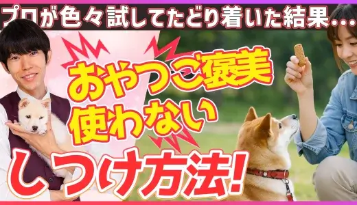 【知っておきたい】おやつを使わないしつけの方法 飼い主さん必見！ | ある意味経済的！プロのトレーナーが色々試してたどり着いた結果…