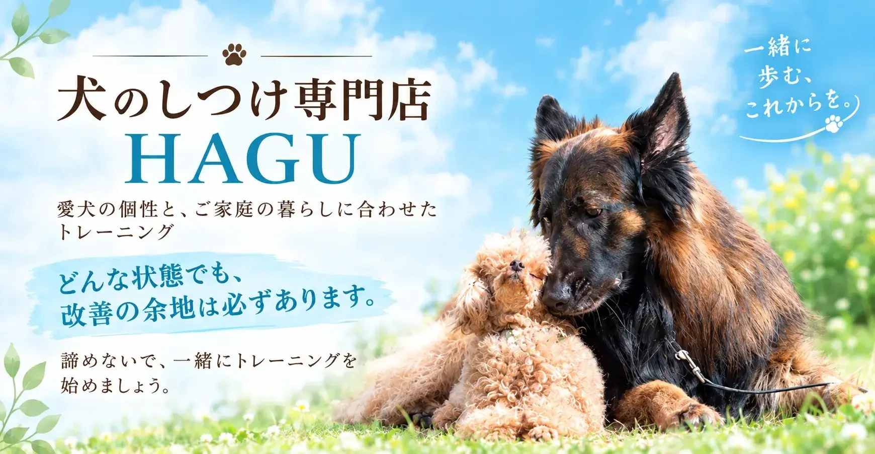 東京都文京区犬のしつけ専門店 「おやつ、おもちゃを使わない犬のトレーニング」